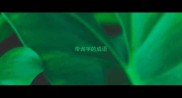 带询字的成语