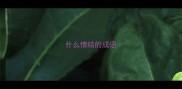 什么情结的成语