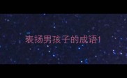 表扬男孩子的成语