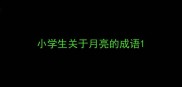小学生关于月亮的成语