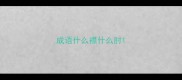 成语什么襟什么肘