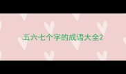 五六七个字的成语大全