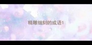 精雕细刻的成语