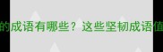 形容不避风雨之苦的成语有哪些这些坚韧成语值得收藏附详细