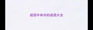 成语中有令的成语大全