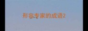 形容专家的成语