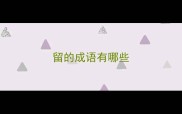 留的成语有哪些