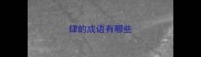 肆的成语有哪些