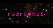 什么因什么果的成语