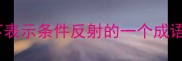 以下表示条件反射的一个成语是