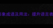 50个最经典的形象成语及用法提升语言表达的实用指南