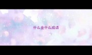 什么金什么成语
