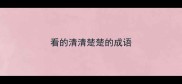 看的清清楚楚的成语