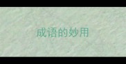 成语的妙用