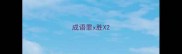 成语罪x胜X