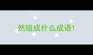 然组成什么成语
