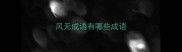 风无成语有哪些成语