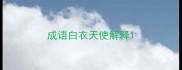 成语白衣天使解释