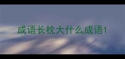 成语长枕大什么成语