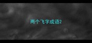 两个飞字成语