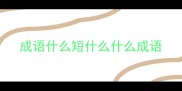 成语什么短什么什么成语