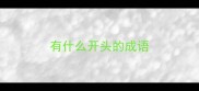有什么开头的成语