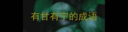有甘有宁的成语