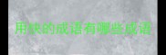 用快的成语有哪些成语