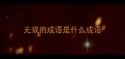 无双的成语是什么成语