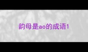 韵母是ao的成语