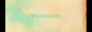 赞美白杨的成语