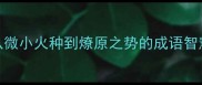 星火燎原从微小火种到燎原之势的成语智慧与商业启示