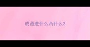 成语进什么两什么