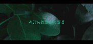 有开头的成语的成语