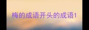 梅的成语开头的成语