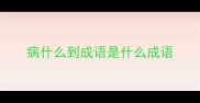 病什么到成语是什么成语