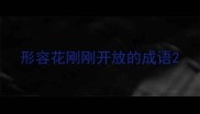 形容花刚刚开放的成语