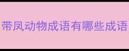 带凤动物成语有哪些成语