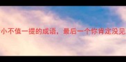 10个非常渺小不值一提的成语最后一个你肯定没见过附详细