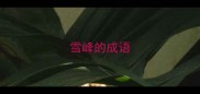 雪峰的成语