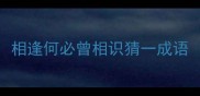 相逢何必曾相识猜一成语