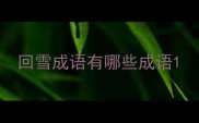 回雪成语有哪些成语