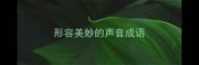 形容美妙的声音成语