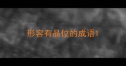 形容有品位的成语