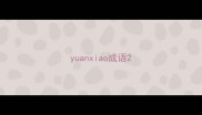 yuanxiao成语