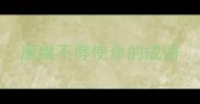 唐雎不辱使命的成语