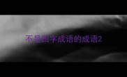 不是四字成语的成语