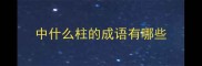 中什么柱的成语有哪些