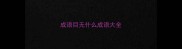 成语目无什么成语大全