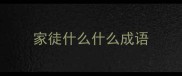 家徒什么什么成语